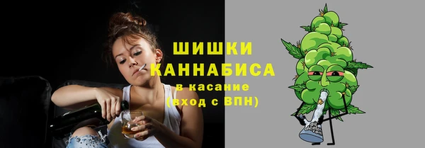 сатива Арсеньев