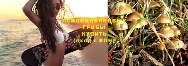 СК Аркадак