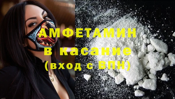 сатива Арсеньев