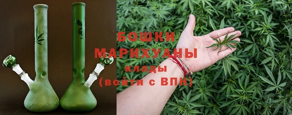 сатива Арсеньев