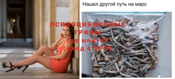 альфа пвп Армянск