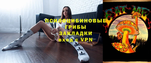 СК Аркадак