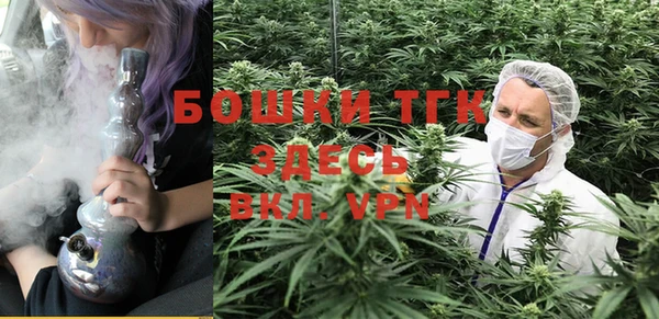СК Аркадак