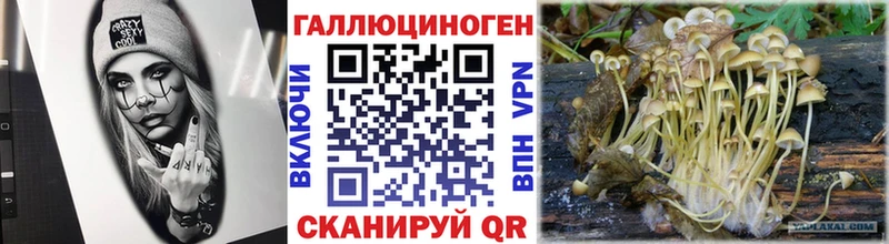 OMG рабочий сайт  закладки  Усть-Кут  Галлюциногенные грибы Psilocybine cubensis 